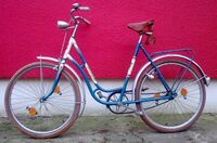 eines der ersten Modelle, noch mit der frühen Ausführung des Rahmendekors (Baujahr ca. 1965/66)