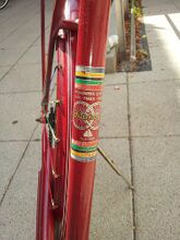 ...Dekor am Sattelrohr