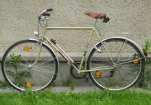 Das Rad ist von Ende 1988, die Gabel ist bereits nicht mehr vollverchromt.