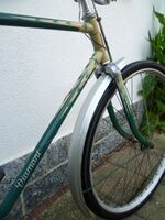 Strahlenkopf des vorstehenden Rades.