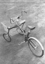 "Variante mit zwei lenkbaren Vorderrädern." (2)