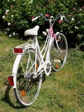 Griffe mit veränderter Form. Vorderradnabe von Maillard, Hinterrad-3-Gang-Nabe von Sachs. Bereifung (32-622) Golden Boy made in Korea. Der Sattel ist vermutlich nicht original.