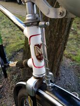 Optisch hat es anders als üblich keinen Farbverlauf, sondern nur einen weiß abgesetzten Steuerkopf. Die Linierung der Schutzleche ist breiter als sonst.