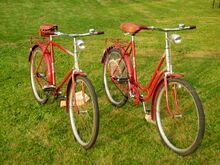 Baujahresgleiches Pärchen, bestehend aus Vertretern der Modelle 35 102 und 35 154.