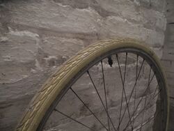 Delta Cruiser von Schwalbe, Größe 37-622 in beige, ohne Reflexstreifen.