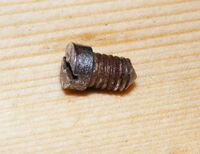 Zeitraum: 194? bis 195? (hier: 1951) Verwendung bekannt an: Kontaktschraube an frühen BALACO-Beleuchtungskomponenten Oberflächenbehandlung: verchromt Bemerkungen: hoher tonneförmiger Kopf